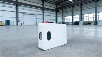 Lithium battery project investment estimation report