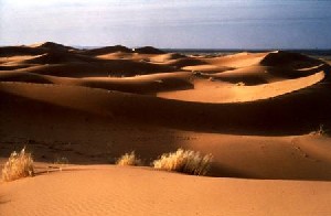 dunesmerzouga