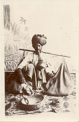 Indian-Snake-Charmer.jpg
